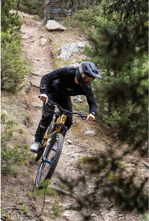 Image du produit ALPINA SPORTS Pikes Mips (56 - 59 cm)