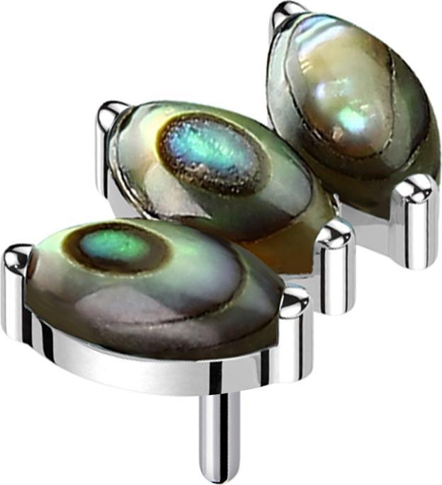 Star Piercing Threadless silber drei Ovale Abalone (Organisch, ohne Messing, Titan G23)