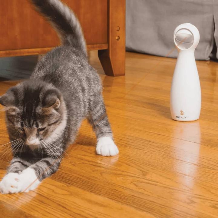 Actual product image PetSafe Bolt (Catmint toy)