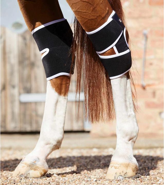 Immagine prodotto Premier Equine ginocchiere magnetiche per cavalli magni-teque