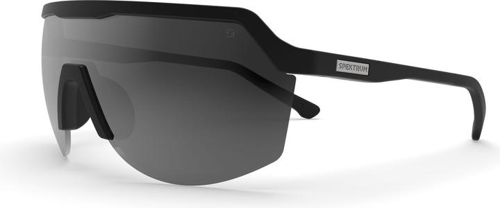Actual product image Blank Sunglasses (Grey, Grey)