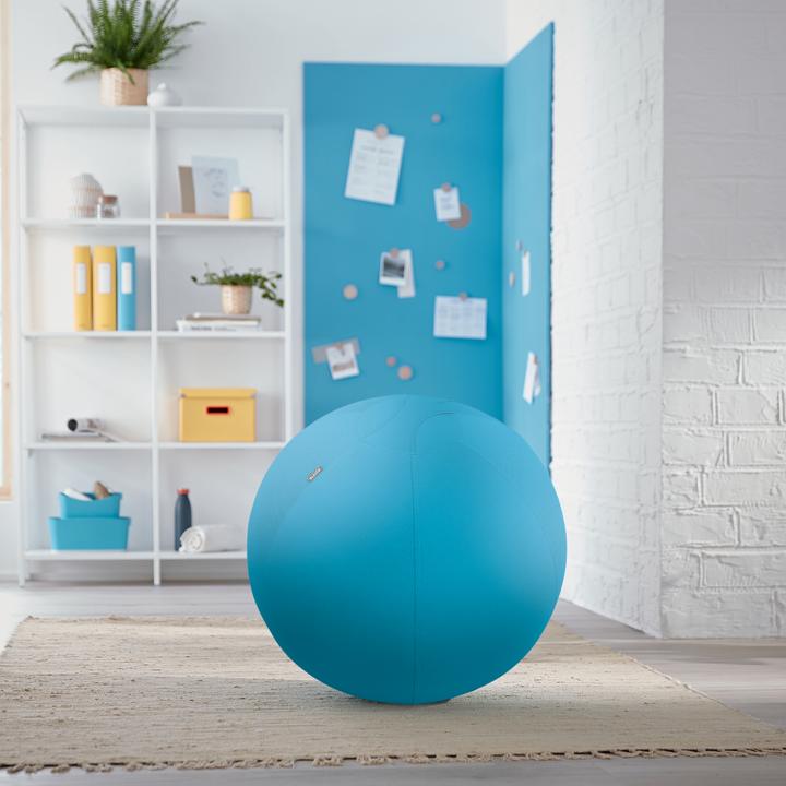 Image du produit Leitz Ballon-siège Ergo Cosy Active (65 cm)