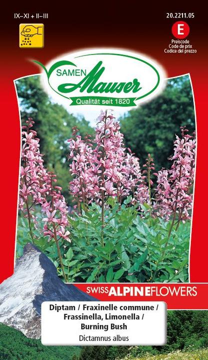 Produktbild Samen Mauser Diptam (Blumensamen)