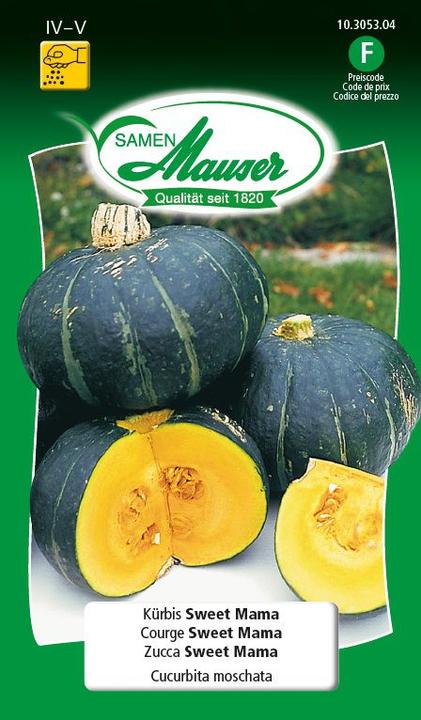 Kürbis Sweet Mama F1 (Gemüsesamen)