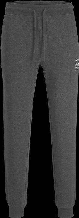 Image du produit Jack & Jones Gordon Sweathose (S)