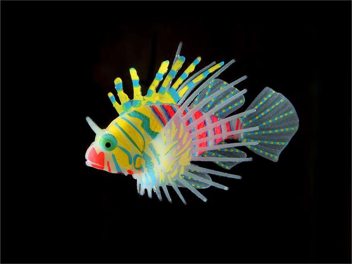 Image du produit Amazonas Poisson-lion (Décoration, autres éléments)