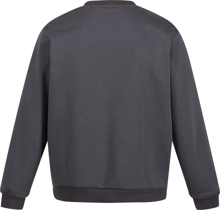 Produktbild Regatta Pro Sweatshirt Rundhalsausschnitt (XXL)