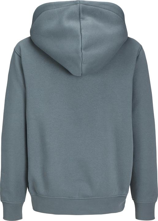Actual product image Jack & Jones Jorvesterbro Sweat Hood Noos Jnr (164)