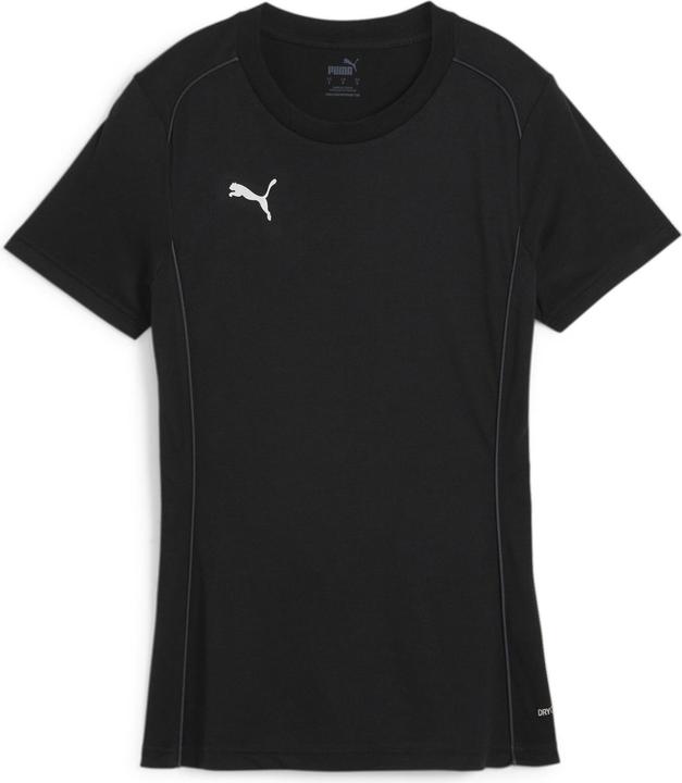 pumablackpumasilver