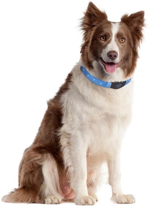 Produktbild Karlie Visio (Hund, Spazieren)