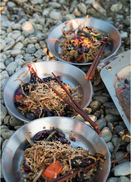 Produktbild Primus CampFire Plate