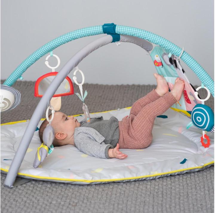 Actual product image Taf Toys All Around Me