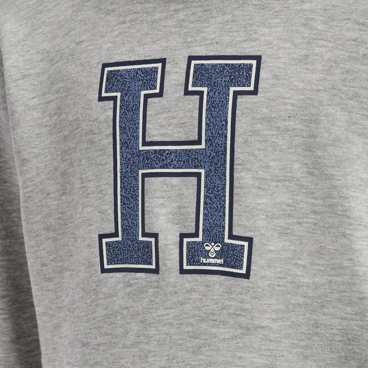 Image du produit hummel Hoodie De Géographie (146)