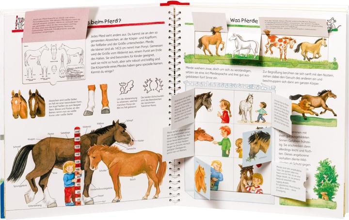 Productafbeelding Ravensburger Alles über Pferde und Ponys (Duits, Andrea Erne, Irmgard Eberhard, 2011)