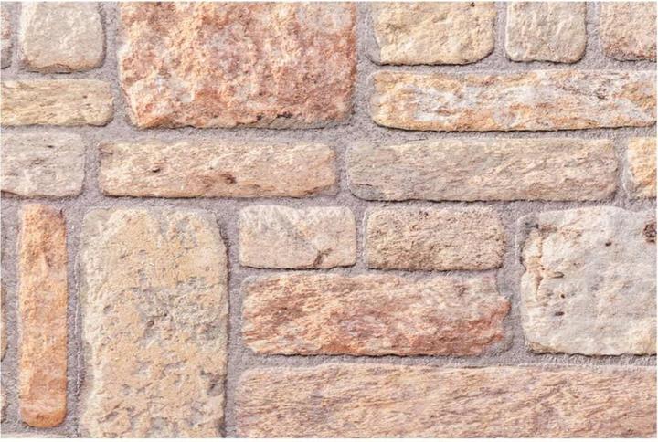 Actual product image VidaXL Cleitos (100 x 50 cm)