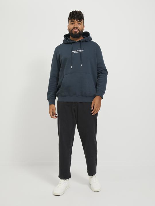 Actual product image Jack & Jones Jjichris Jjorignial Mf 912 Noos Pls (46)