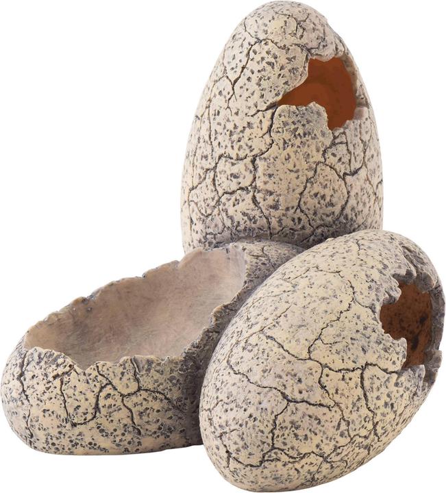 Exo Terra Dinosaur Eggs