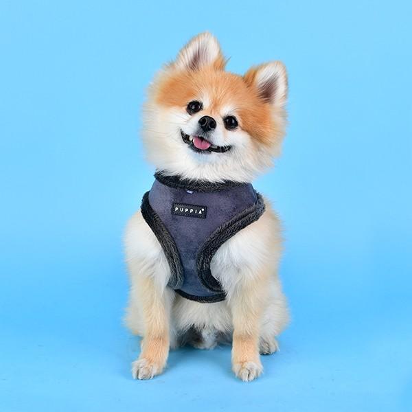 Produktbild Puppia Terry A (L, Hund, Spazieren)