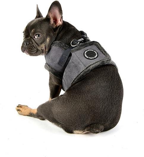 Actual product image Puppia Terry B (S, Dog, Walks)