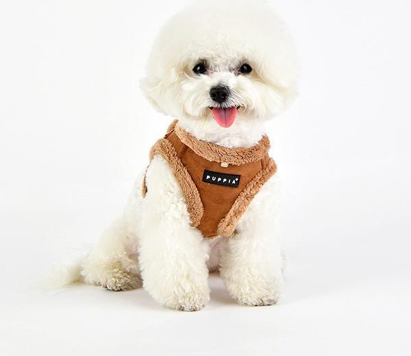 Image du produit Puppia Terry B (S, Chien, Promenade)