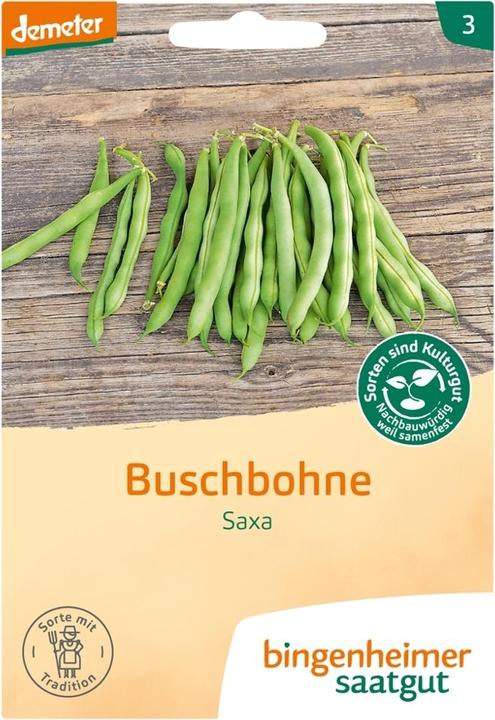 Produktbild Bingenheimer Saatgut Buschbohne Saxa (Keimlinge)