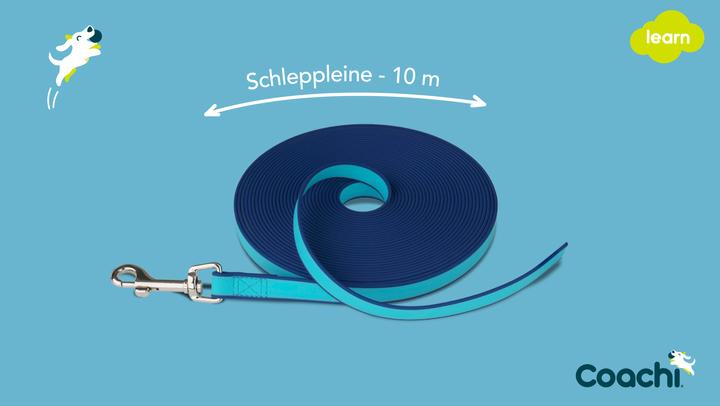 Immagine prodotto Company of Animals Linea di trascinamento impermeabile Coachi (Cane di peluche)