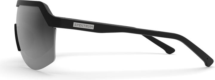 Actual product image Blank Sunglasses (Grey, Grey)