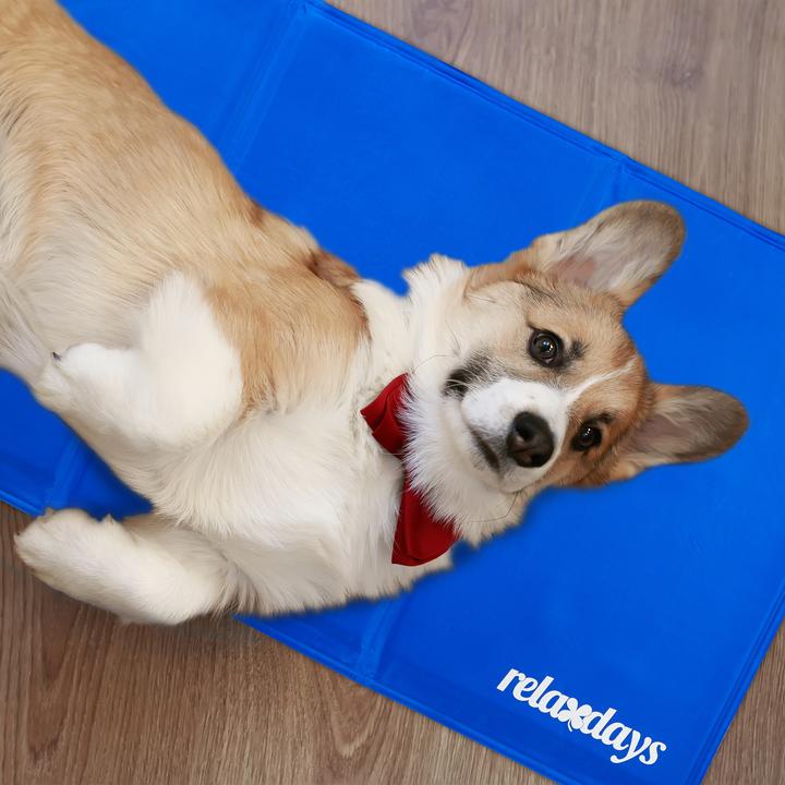 Actual product image Relaxdays Dog (Dog, Cat)