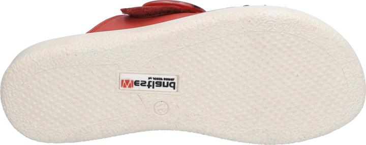 Image du produit Westland 25409-409 (37)