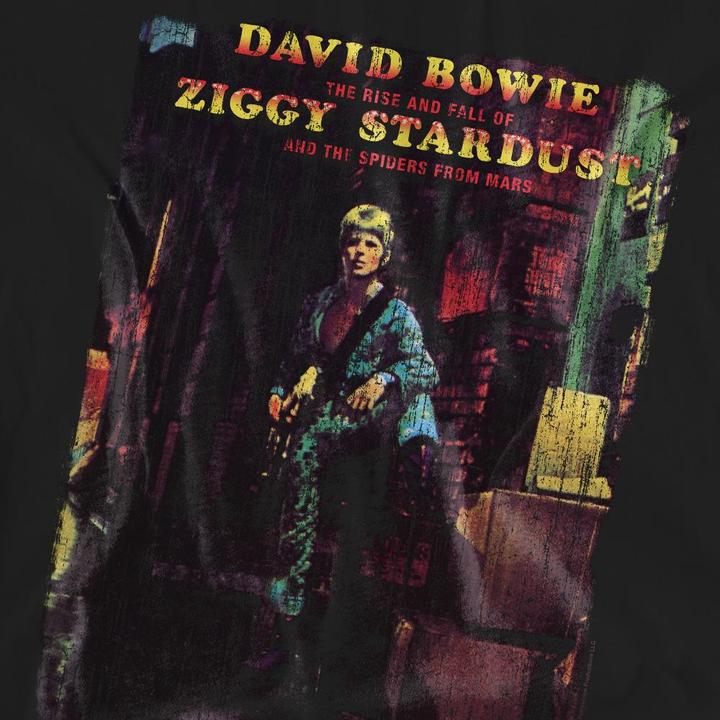 Actual product image David Bowie Unisex Adult Ziggy Stardust Album T-Shirt (M)