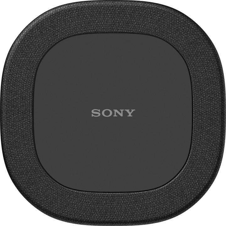 Immagine prodotto Sony SA-RS8 (1 coppia, 100 W)