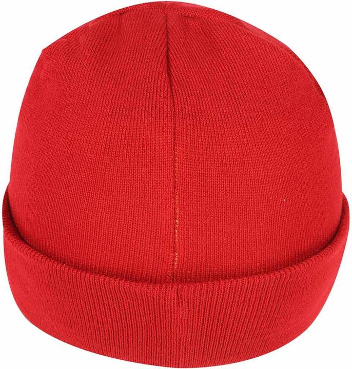 Actual product image The Flash Logo Beanie