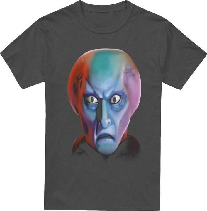 Produktbild TShirt (L)