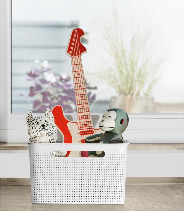 Actual product image Rotho Breezes (1 x, 26.2 x 36 cm)