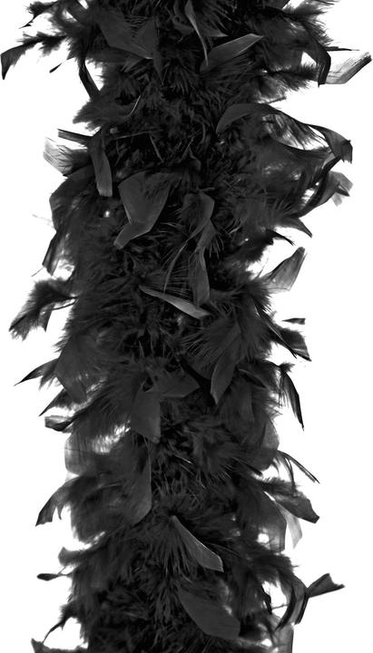 Image du produit Partydeco Plume Boa