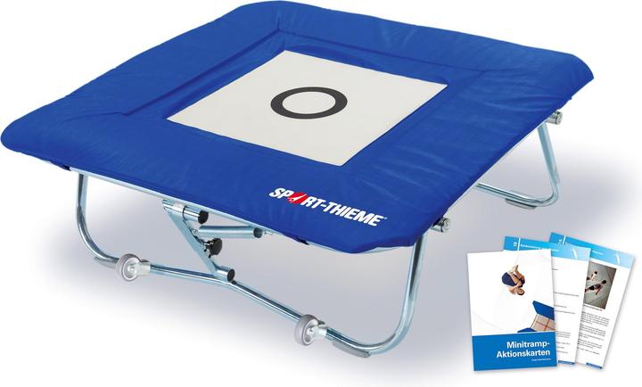 Sport-Thieme Minitramp standard
