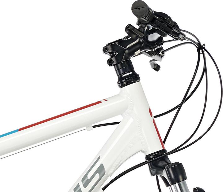 Actual product image Serious Rockville 27.5" Disc (54 cm)