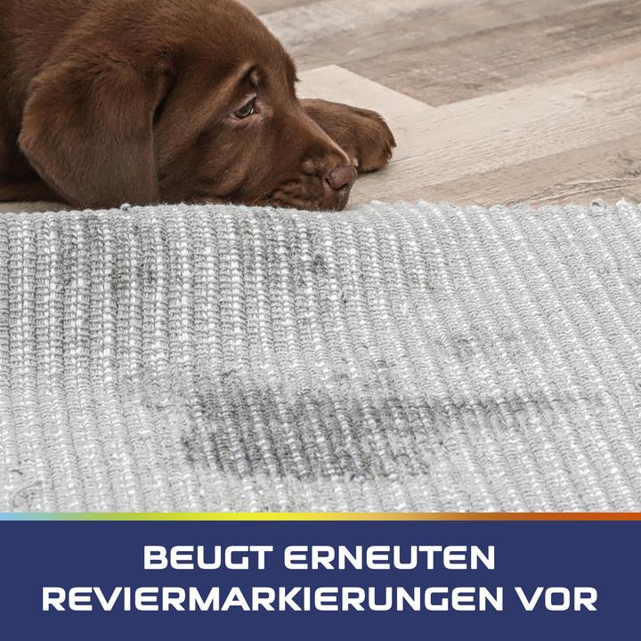 Produktbild Vanish Haustier Experte Teppich-Spray