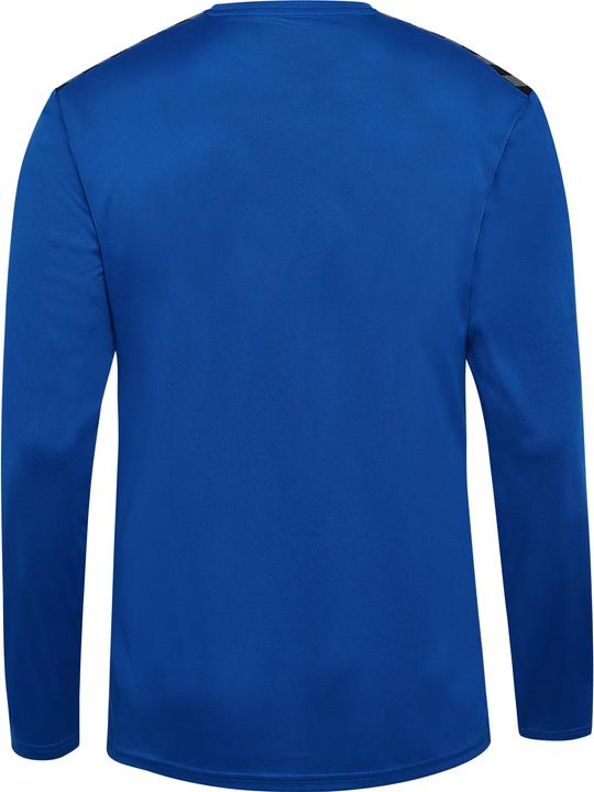Actual product image hummel Hmlauthentic Pl Jersey L/S (L)