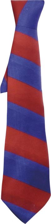 Actual product image Smiffys Striped School Tie