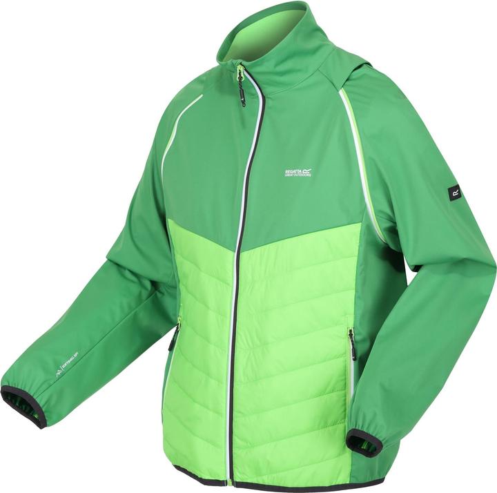 Produktbild Regatta Steren Hybrid Softshelljacke (L)
