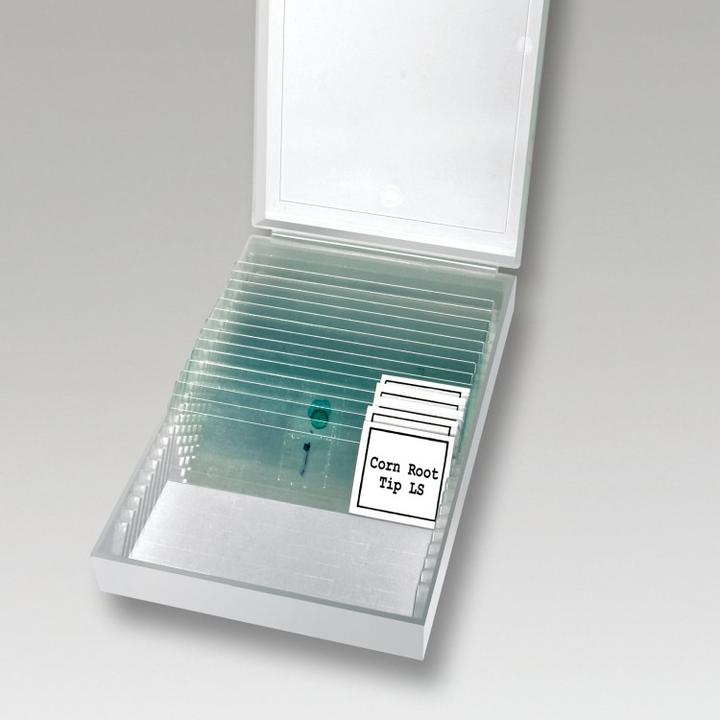 Actual product image Bresser LCD - Student Microscope 8.9 cm