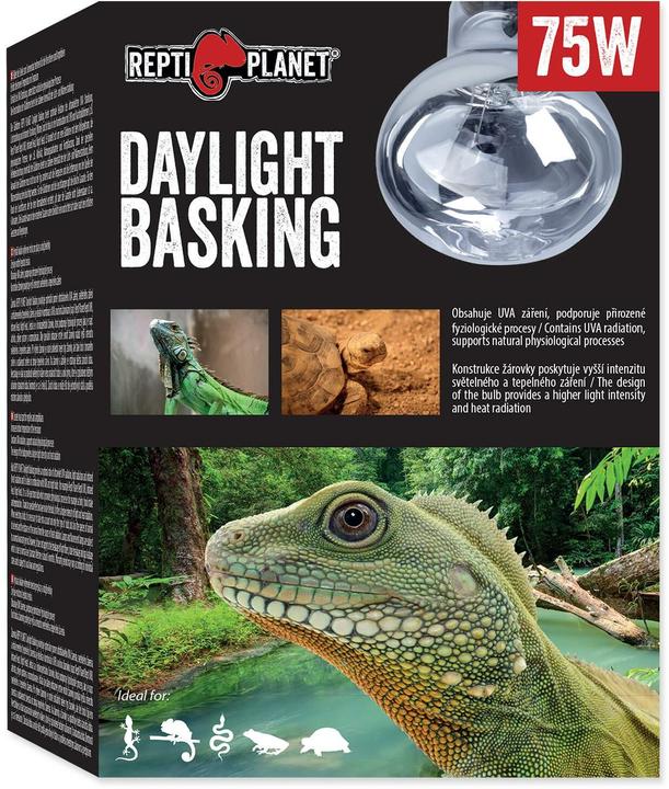Produktbild Repti Planet Daylight Basking Spot 75 W (UVA, UVB)