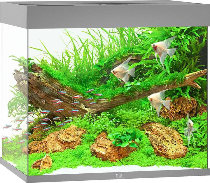 Juwel Aquarium Aquarium Lido 200, 71x51x65cm, grau (200 l)