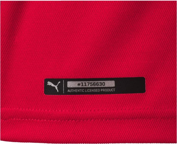Immagine prodotto Puma Serbia Home Replica (M)