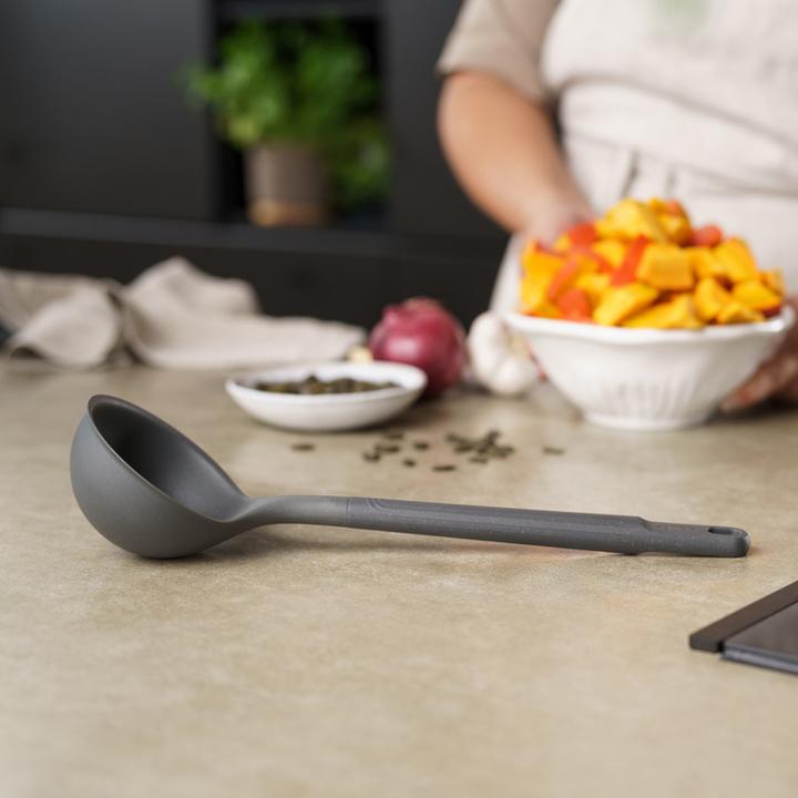 Actual product image Zyliss Ladle L