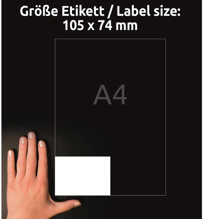Actual product image Avery Universal labels