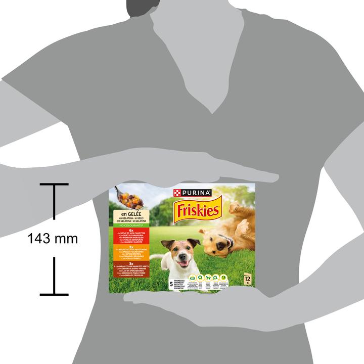 Actual product image Friskies In jelly (Adult, 12 pcs., 1160 g)