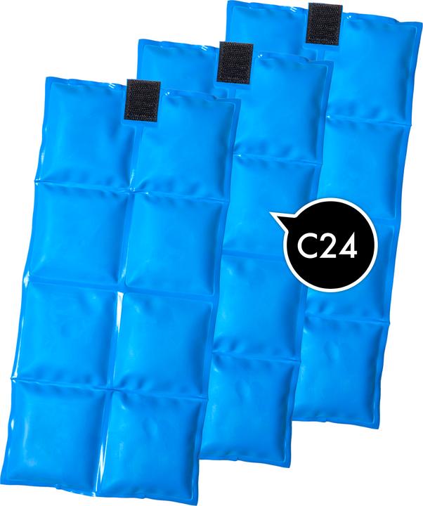 Image du produit Bertschat Gilet Rafraîchissant à Eléments MCP PRO (20)
