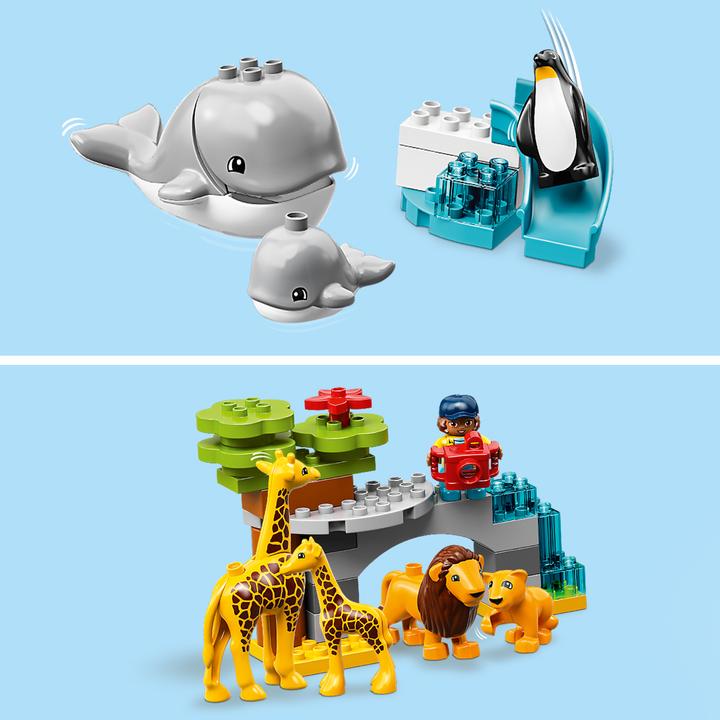 Image du produit LEGO DUPLO Animaux du monde (10907)